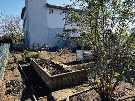 großer Nutzgarten auf der Ostseite