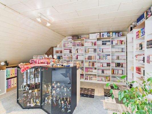 Arbeits- bzw. Hobbyzimmer