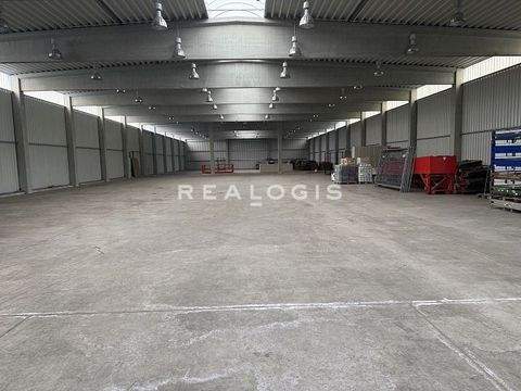 Thiersheim Halle, Thiersheim Hallenfläche