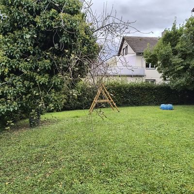 Garten hinter dem Haus