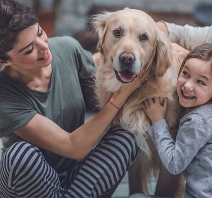 Haus für Tierfreunde 