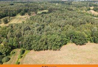 Waldgrundstück Gifhorn