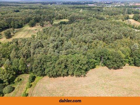 Gifhorn Bauernhöfe, Landwirtschaft, Gifhorn Forstwirtschaft