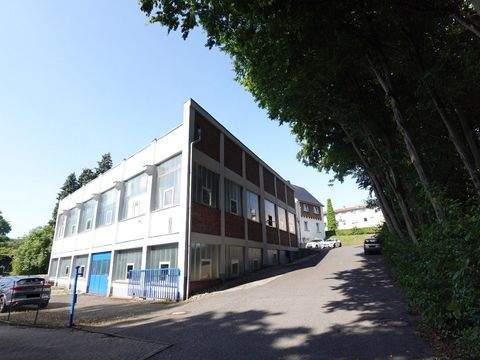 Haan Halle, Haan Hallenfläche