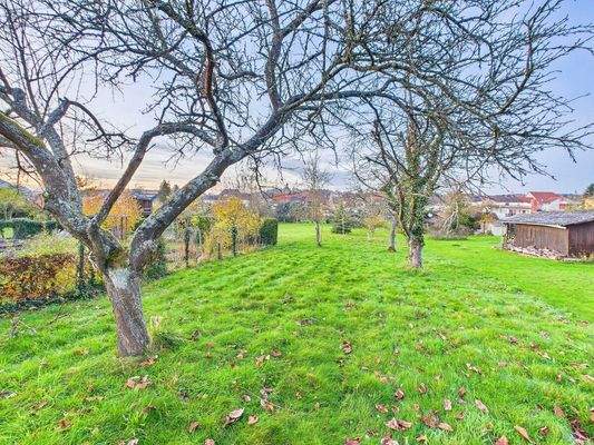 CAM01856G0-PR0319-STILL004