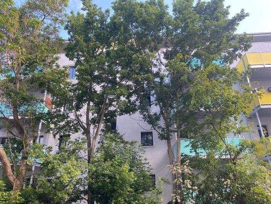 Objektansicht Rückseite