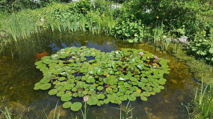 Bild18
