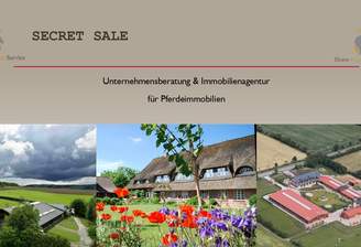 Secret-Sale-Bild.png