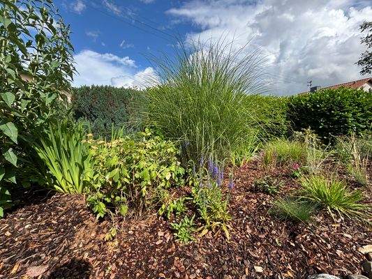 Teil der Aussenanlage