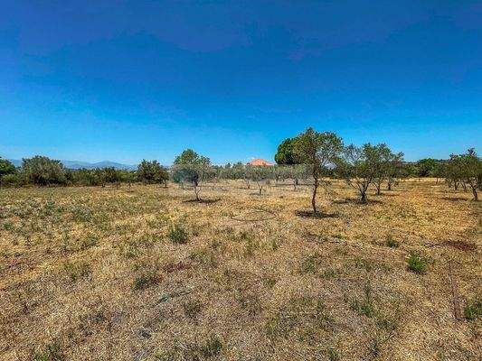 975a2edc3348447eb496ff7a84256361-original