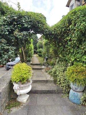 20250706_134043 (Mittel).jpg