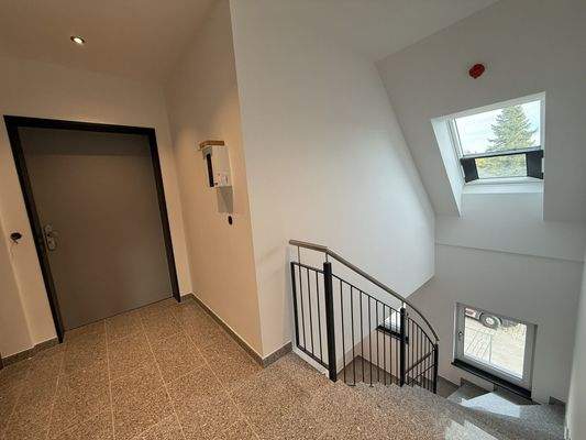 Eingangstür im Treppenbereich