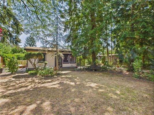 Vorgarten mit Bungalow