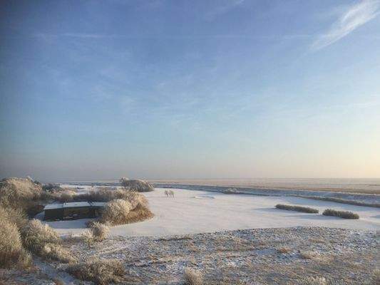 Blick vom Balkon im Winter.jpg