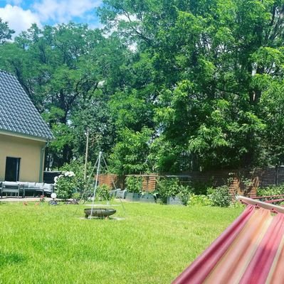 Garten im Sommer
