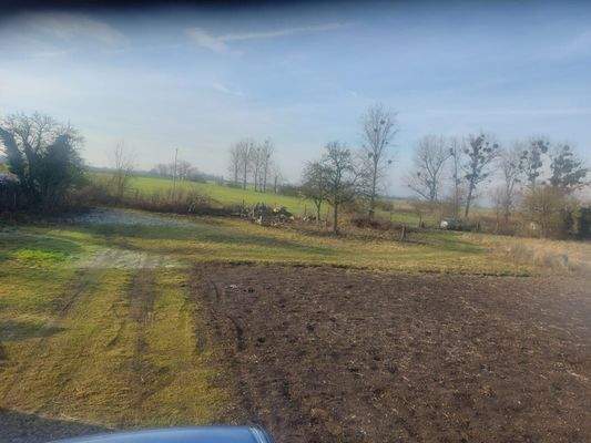 Blick über Grundstück 