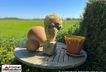 www.schwinge-immobilien.de