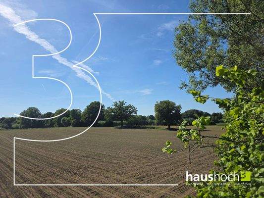 37_Felder am Werseufer