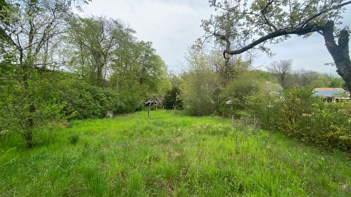 Blick vom Grundstück in Richtung Fachwerkhaus