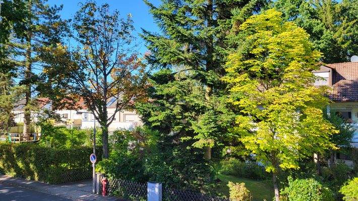 Umgebung zum Hauseingang 