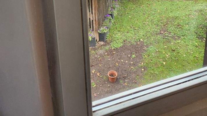 Musterfoto Fenster 2