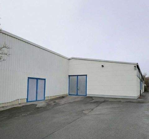 Erlangen Halle, Erlangen Hallenfläche