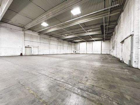 Steinhöring Halle, Steinhöring Hallenfläche