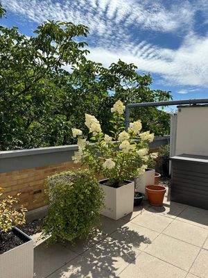 Blick zur großen Terrasse