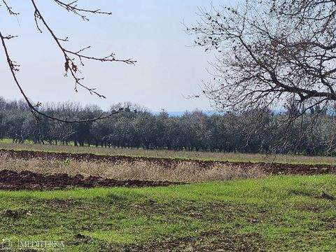 NOVIGRAD Grundstücke, NOVIGRAD Grundstück kaufen