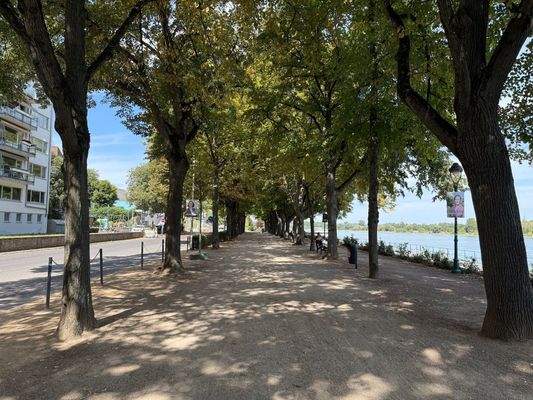 Rheinpromenade