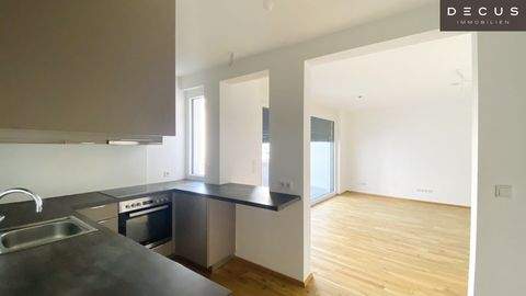 Wien Wohnungen, Wien Wohnung mieten