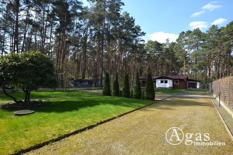 Borkheide Häuser, Borkheide Haus kaufen