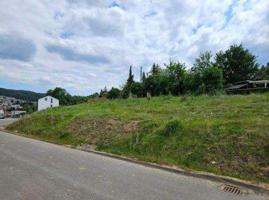 51bbaf09-417c-4ab6-9e25-d2fec9f5d38c-1956996570