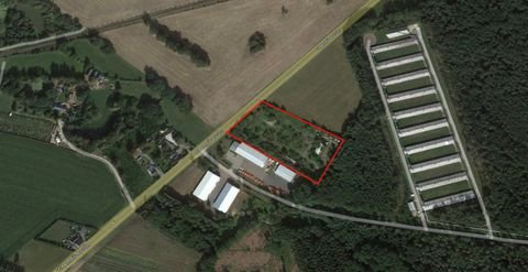 Niederdorf Grundstücke, Niederdorf Grundstück kaufen
