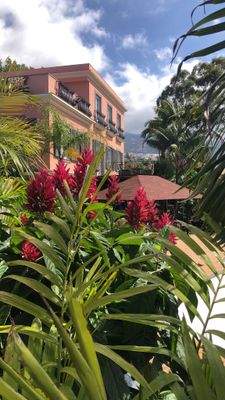 Garten mit exotischen Pflanzen