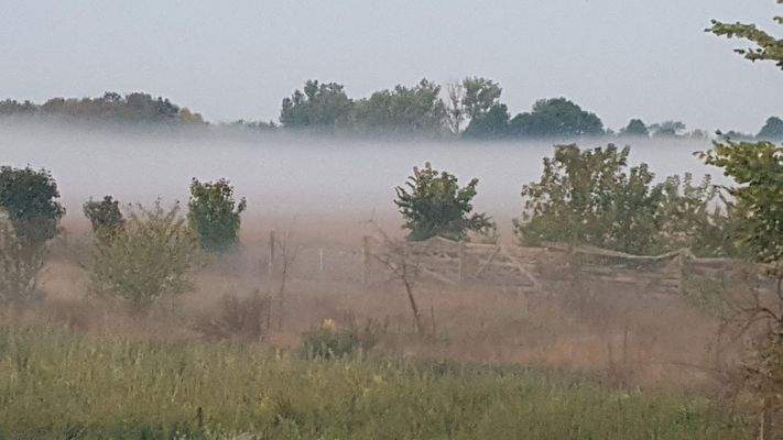 vord. Dachterrasse, morgens