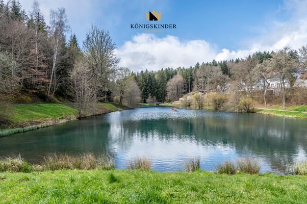 Waldsee