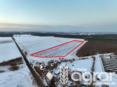Treuenbrietzen Bauernhöfe, Landwirtschaft, Treuenbrietzen Forstwirtschaft