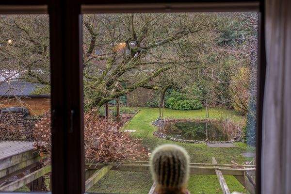 Blick in den wunderschönen und weitläufigen Garten