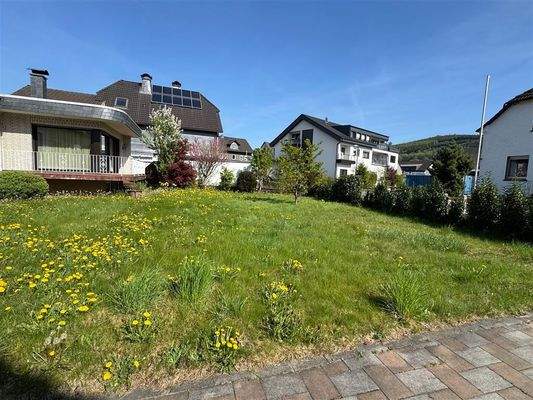 großer ebenerdiger Garten