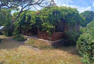 Bungalow mit begrüntem Dach