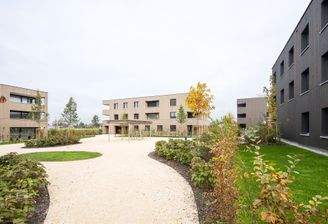 Westansicht_Am Römerstein_Höchst