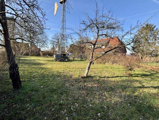 2. Grundstück am Haus