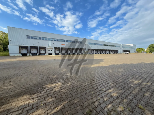 INFOS UNTER: 06171-586000