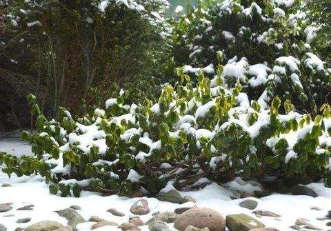 Berlin Grundstücke, Berlin Grundstück kaufen