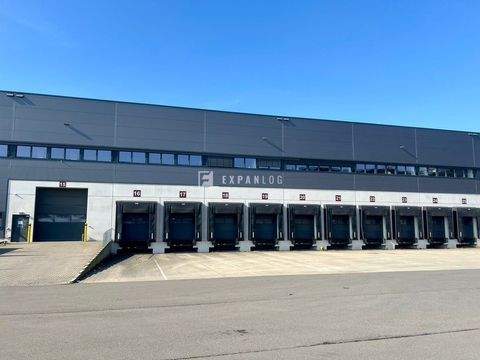 Düsseldorf Halle, Düsseldorf Hallenfläche