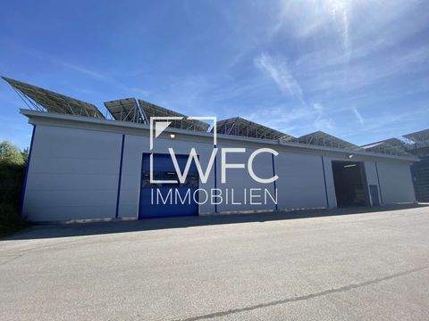 Frontenhausen Halle, Frontenhausen Hallenfläche