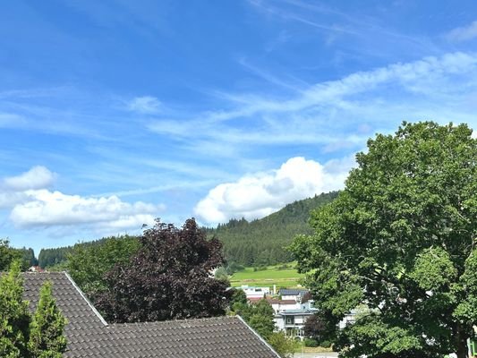 Ausblick