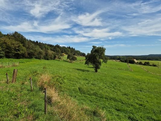 Wiesenfläche hinter dem Gebäude