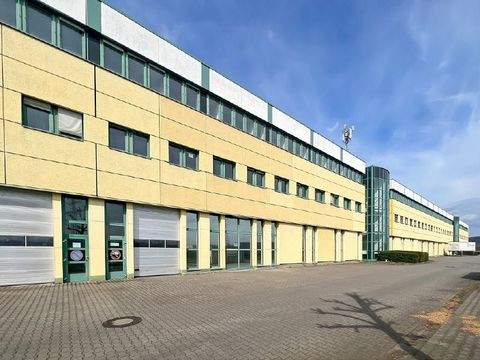 Dresden Halle, Dresden Hallenfläche